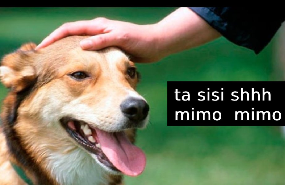flashandoPatata tweet picture