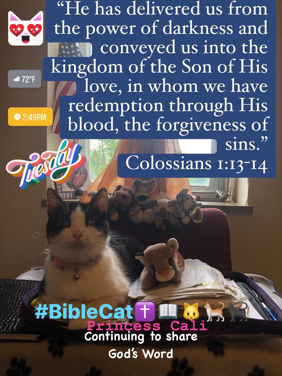 BibleCat✝️📖🐱🐈
#BibleCat
#JesusLovesYou