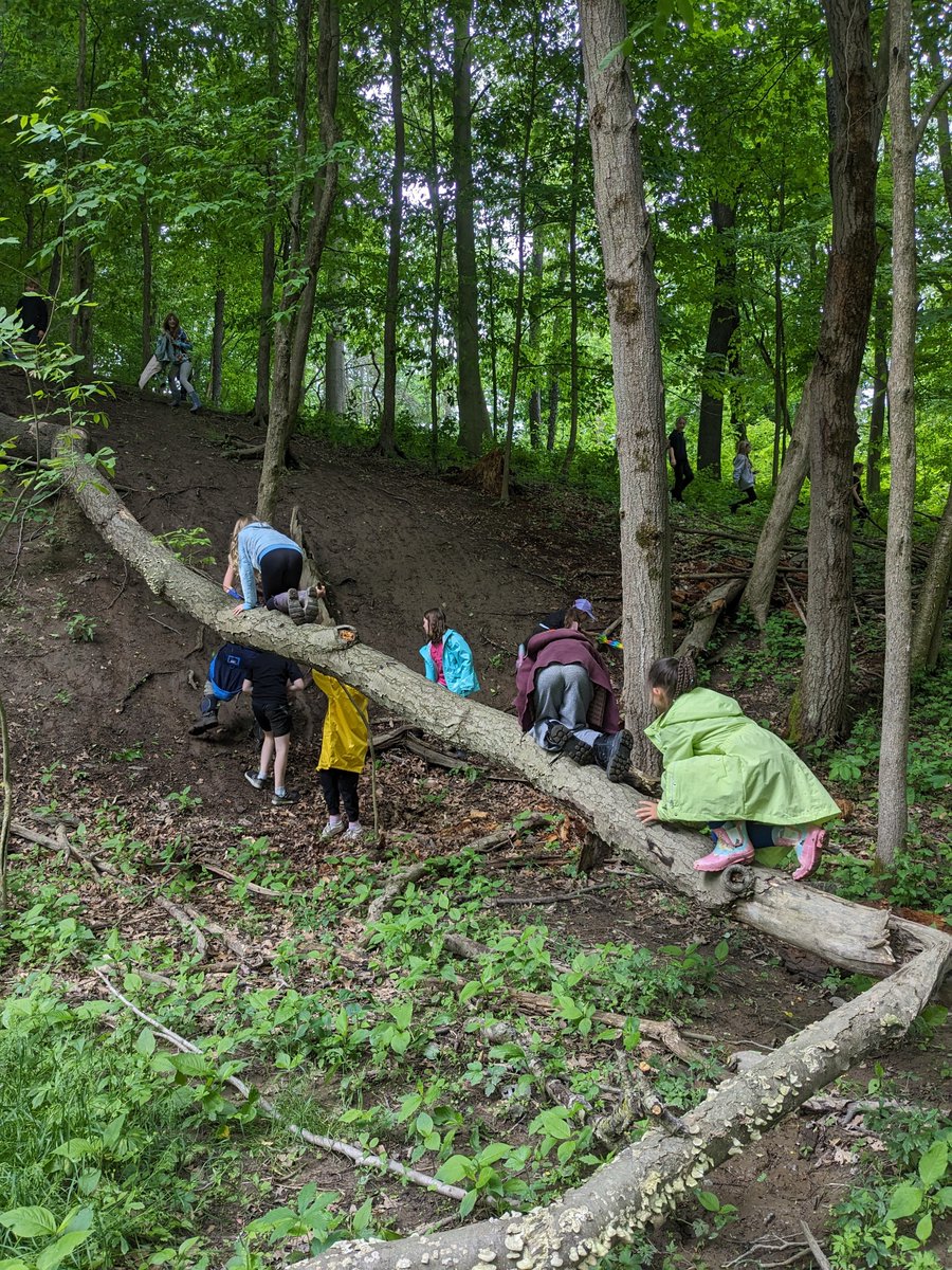 A great day exploring the Forest Friends program with grade 3 and 4 from @MckayPublic @ColleenFast1 @dsbn #playexplorediscover #outdoored