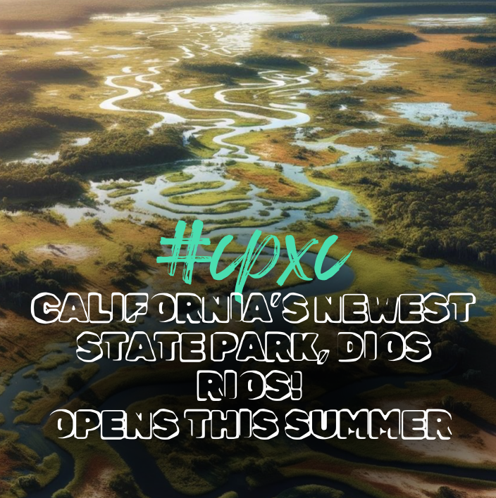 CulturePathxc tweet picture