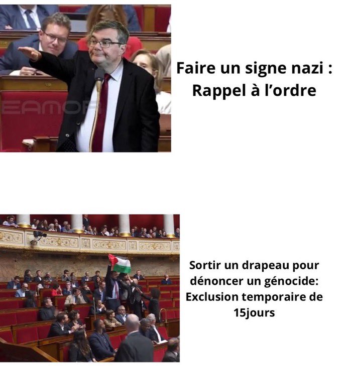 Les règles de l’assemblée nationale @YaelBRAUNPIVET la clownerie n’est jamais finie 🤡