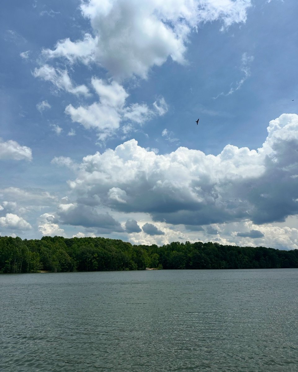 this is my lake hair. no further comment.