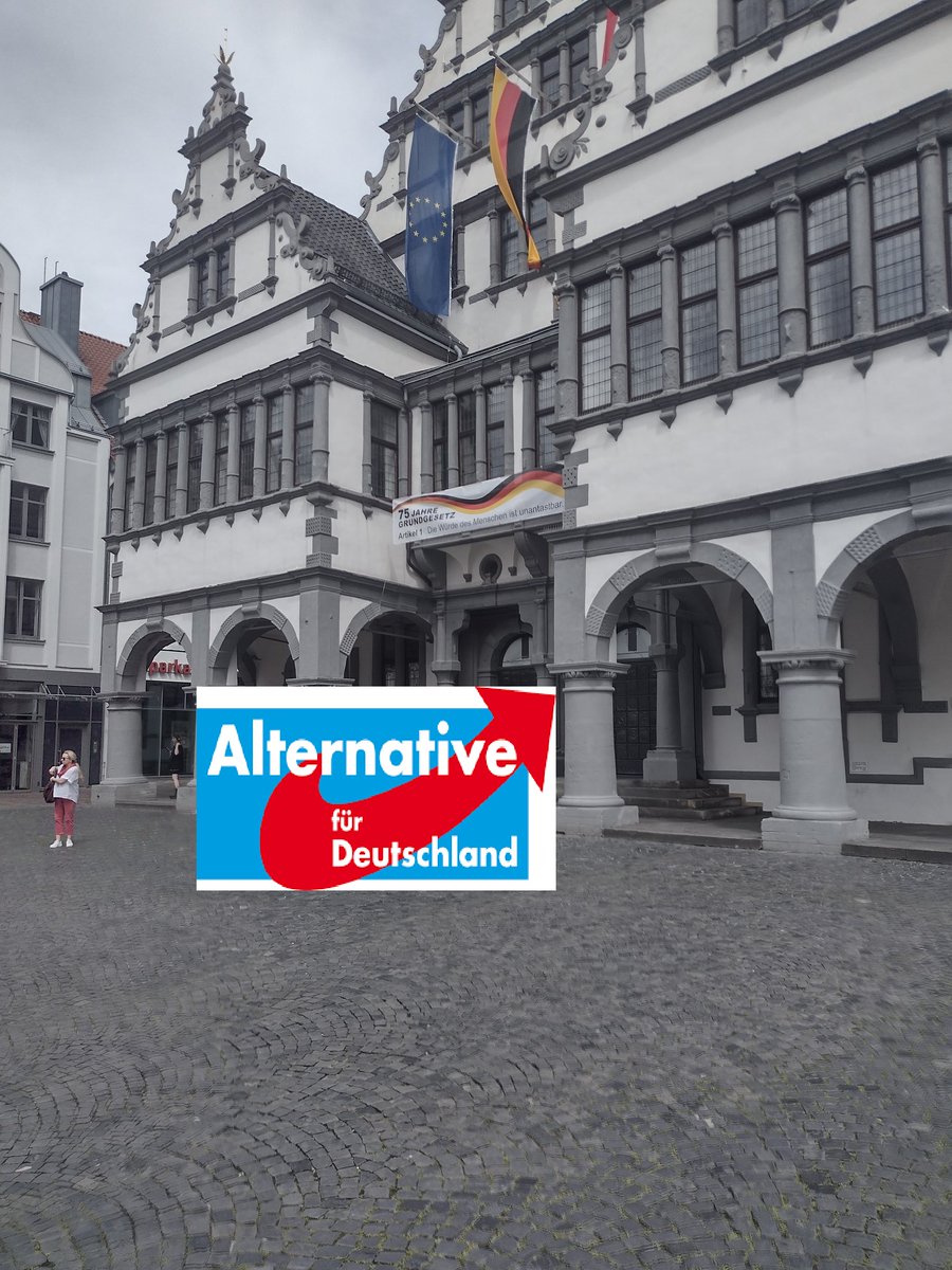 #nurnochafd Nur noch AfD  Paderborn #afd #AfddieSuperPartei #paderborn Paderborn AfD wählen.