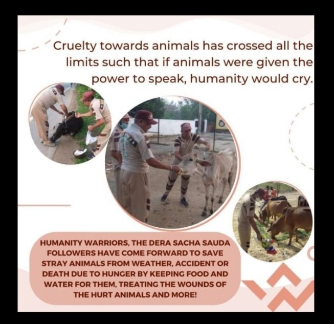 पशु मित्रों की दुर्दशा को नजरअंदाज करना आसान है।लेकिन राम रहीम जी के मार्गदर्शन में डेरा सच्चा सौदा के स्वयंसेवक वास्तविक बदलाव लाने के लिए आगे बढ़ रहे हैं।
अपनी Animal Welfare के माध्यम से वे आवारा जानवरों को सुरक्षित रखने के लिए Reflective Belts पहना रहे हैं।
#AnimalWelfare