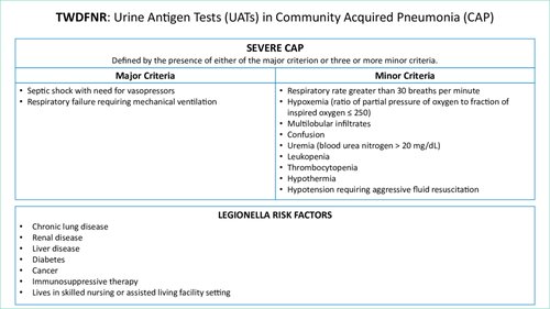 Timothy Li tweet media