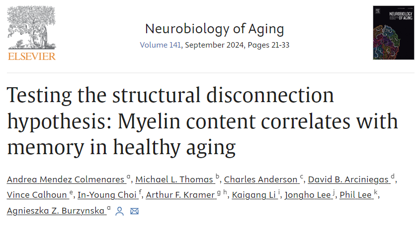 andreamendez92's tweet photo. Today's 🧵is based on my paper published today!
What new insights does Myelin Water Imaging provide about myelin's role in cognitive function, and how can this advance our approach to understanding the mechanisms that lead to cognitive decline in aging and dementia? https://t.co/4sxK6NzCmy