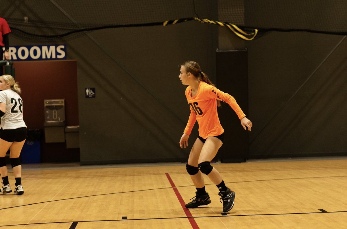 kaitlynnm_vb tweet picture