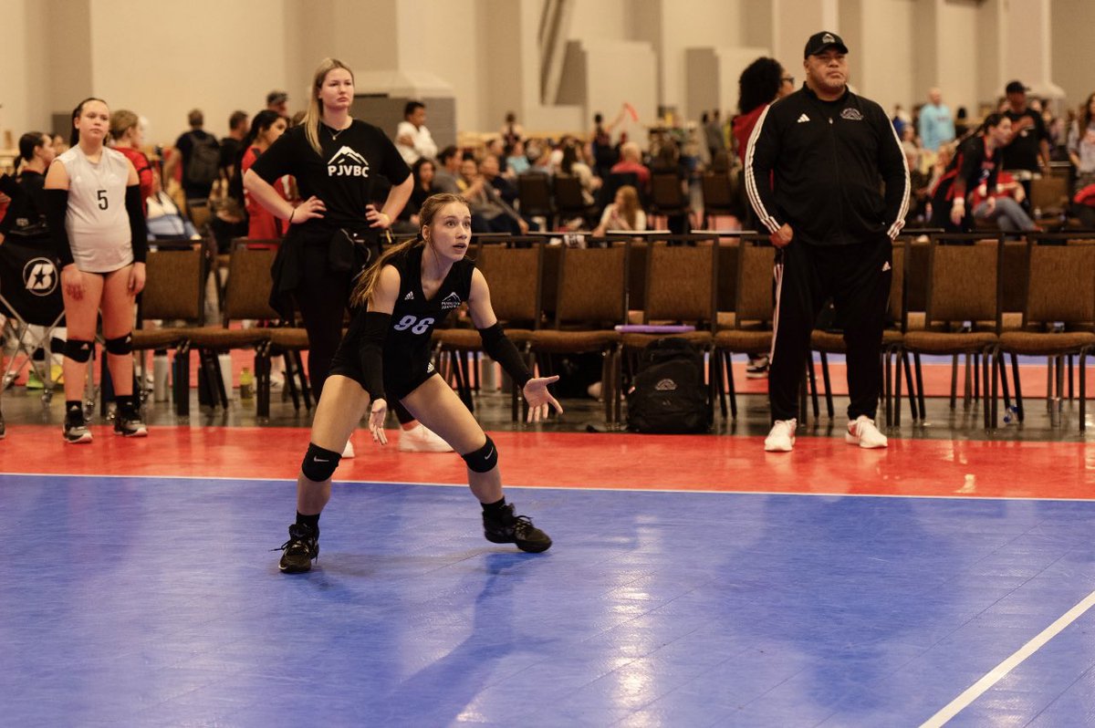 kaitlynnm_vb tweet picture
