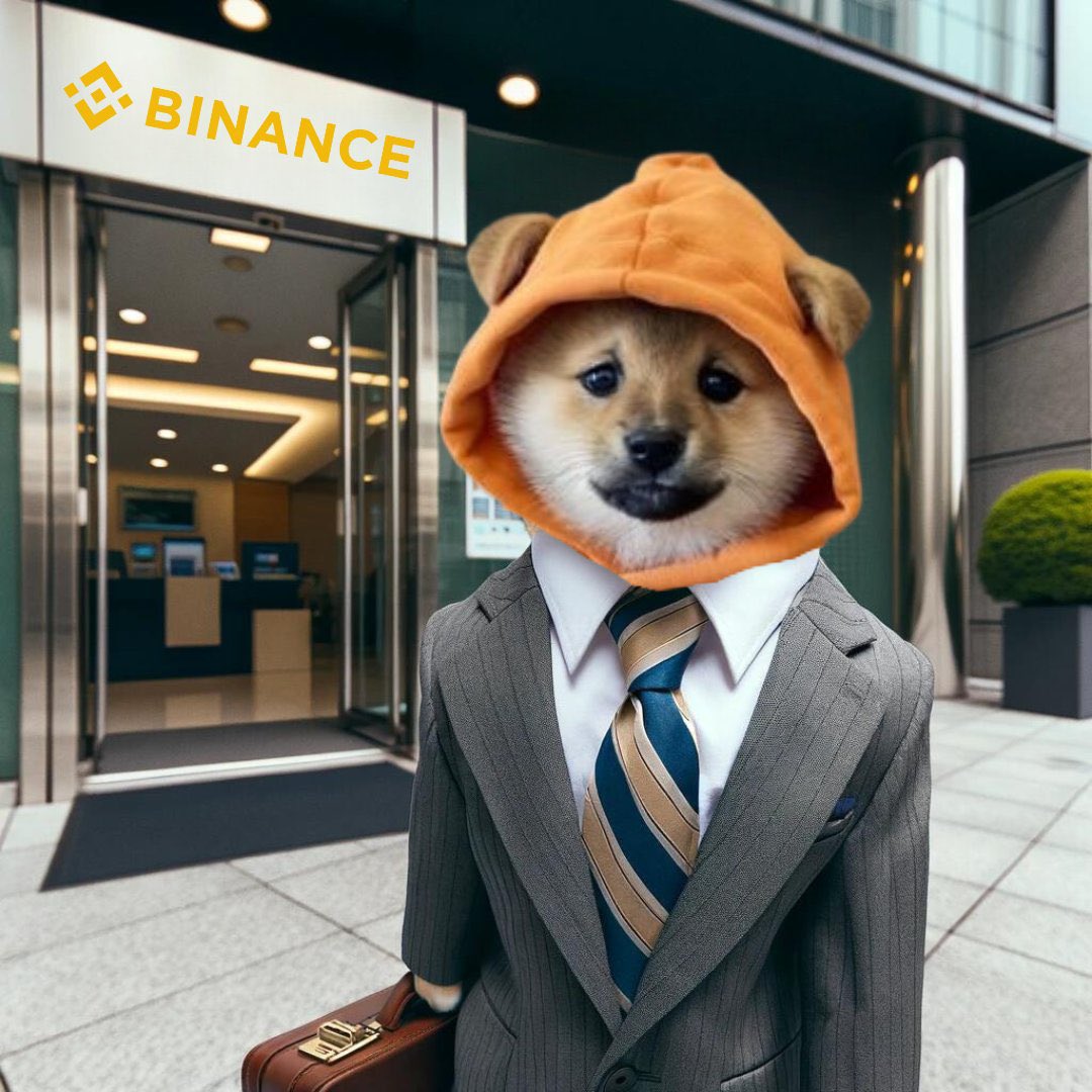 We even bought $DOG a new outfit. This deserves a listing. We are ready to close the deal @binance 🤝🏻