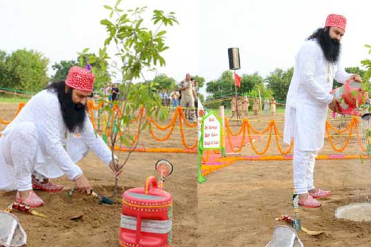 Forests are home to wild animals. They give us herbs, wood and many things. Deforestation is very unfortunate.  Ram Rahim Ji has started #NatureCampaign, GREEN & Tree Campaigns to save environment & forests. Volunteers of Dera Sacha Sauda plant trees regularly to conserve Nature.