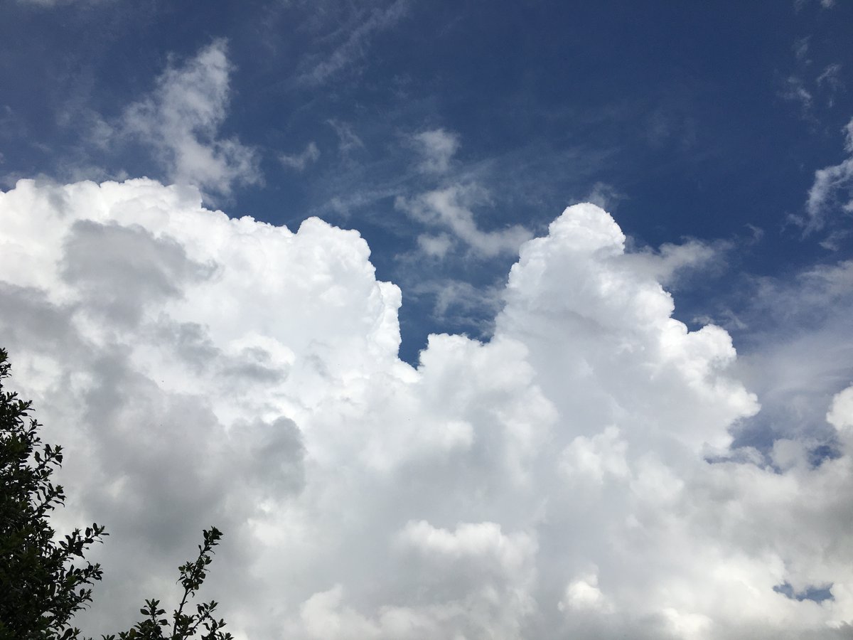 ☁️ Cumulus humilis clouds seen over the Bank Holiday weekend ☁️
@StormHour @ThePhotoHour
@CloudAppSoc #skies #clouds #Lincolnshire
@Official_WXUK