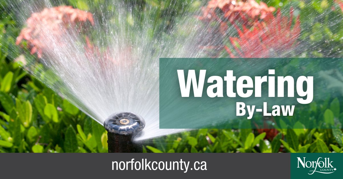 Residents in urban areas, please note that outdoor water restrictions are in place until September. Help us conserve water by following the rules listed here: 💧 norfolkcounty.ca/watering