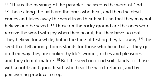 EracerDon's tweet photo. @BinhamidAli Your statement about green grass made me think of the parable Jesus told: https://t.co/m0mjW0jLvM