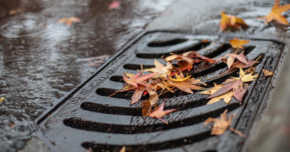 It's raining, it's pouring! 🌧️👷‍♀️ Our crews are working hard to clear storm drains and prevent flooding. If you have a catch basin nearby, help keep water flowing by clearing debris. Stay safe and report concerns via CityFix app or call 604-988-2212 for after-hours emergencies.