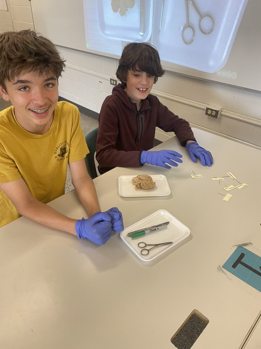 Jessica Dark tweet media