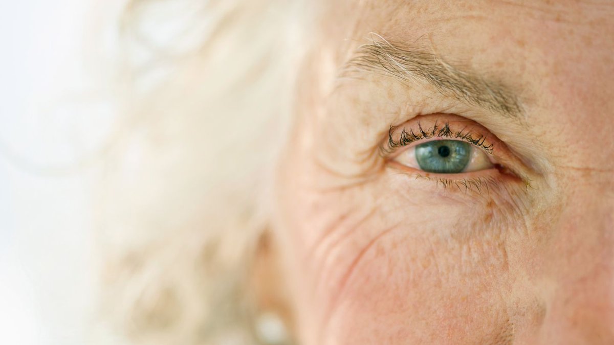 .@US_FDA Approves First Interchangeable Biosimilars to Treat Macular Degeneration and Other Eye Conditions

The FDA approved two interchangeable biosimilars for aflibercept (Eylea) to treat macular degeneration and other eye conditions.

More: bit.ly/3WYQDF4