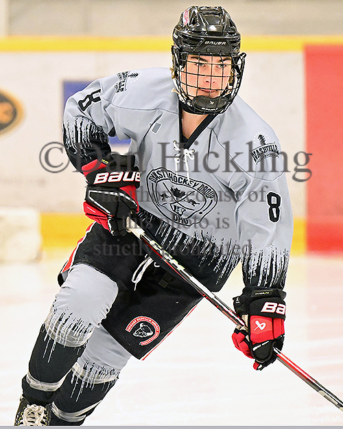 New pics of Dynasty Hockey '10s now up on their @eliteprospects pages ... Also coming to select @_Neutral_Zone pages ... from @SuperSeries_HKY Kings of Spring - Nashville ... Check 'em out! @mhick1953 #KOSNashville