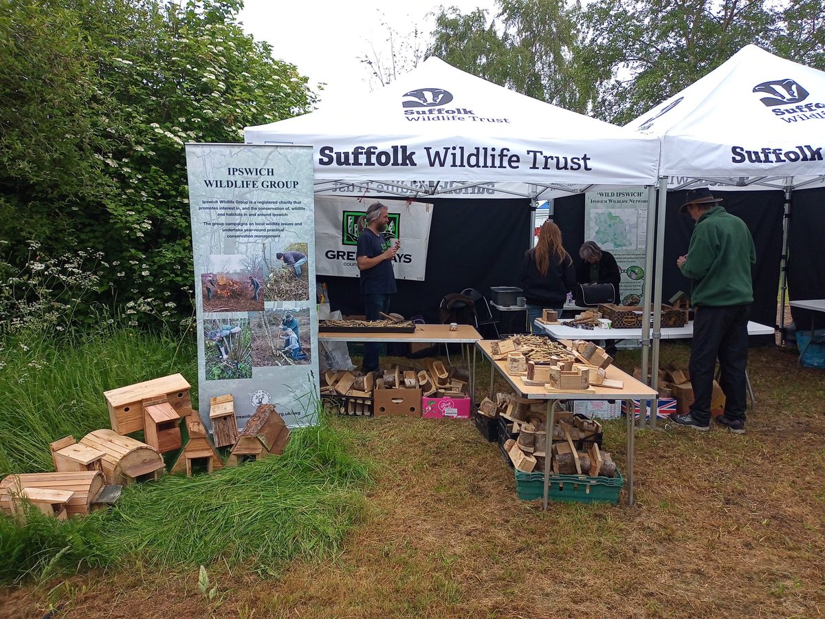GreenwaysProj's tweet image. Come and see us at the #Suffolkshow this week - making bug boxes in the beautiful @suffolkwildlife Wildlife Area, alongside Ipswich Wildlife Group volunteers. @EastSuffolk @IpswichGov @BaberghSuffolk #volunteers #bugbox #urbanconservation