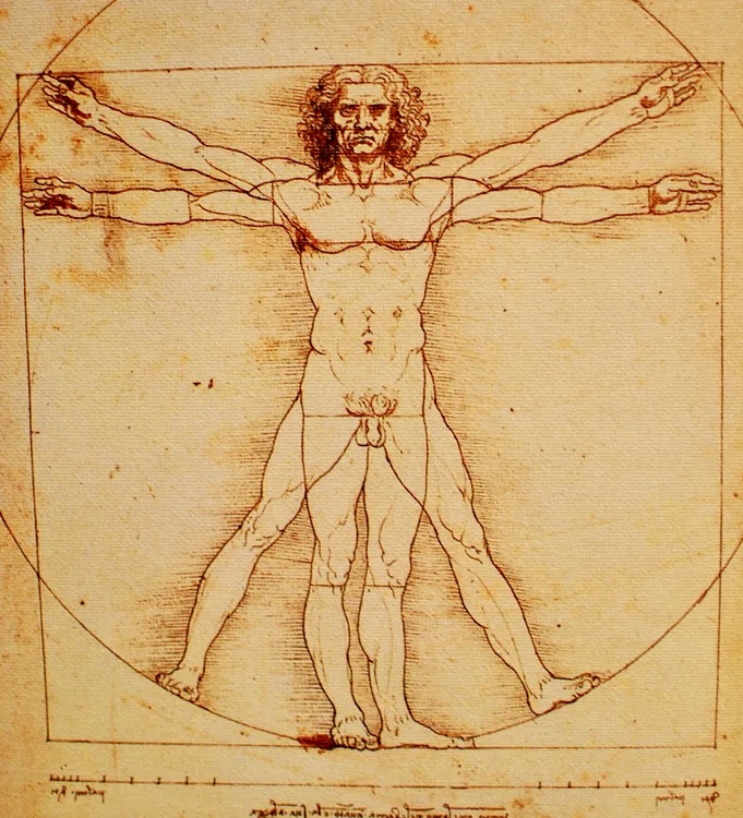 You've seen this image before. It's Leonardo da Vinci's 'Vitruvian Man' — but who actually was he? Well, the Renaissance masters were all imitating a man who lived over 1,000 years earlier. When his work was discovered in an old library, it changed everything... (thread) 🧵