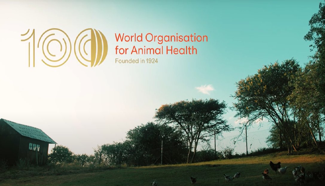 APERTURA DEL CENTENARIO DELLA SANITA’ ANIMALE IN OTTICA ONE HEALTH 27 maggio 2025 intervento del Ministro Schillaci. Erano presenti con la delegazione italiana , il Direttore Generale dott. Giorgio Varisco e il dott. G. Loris Alborali  Direttore Sanitario IZSLER.
#izsler #woah