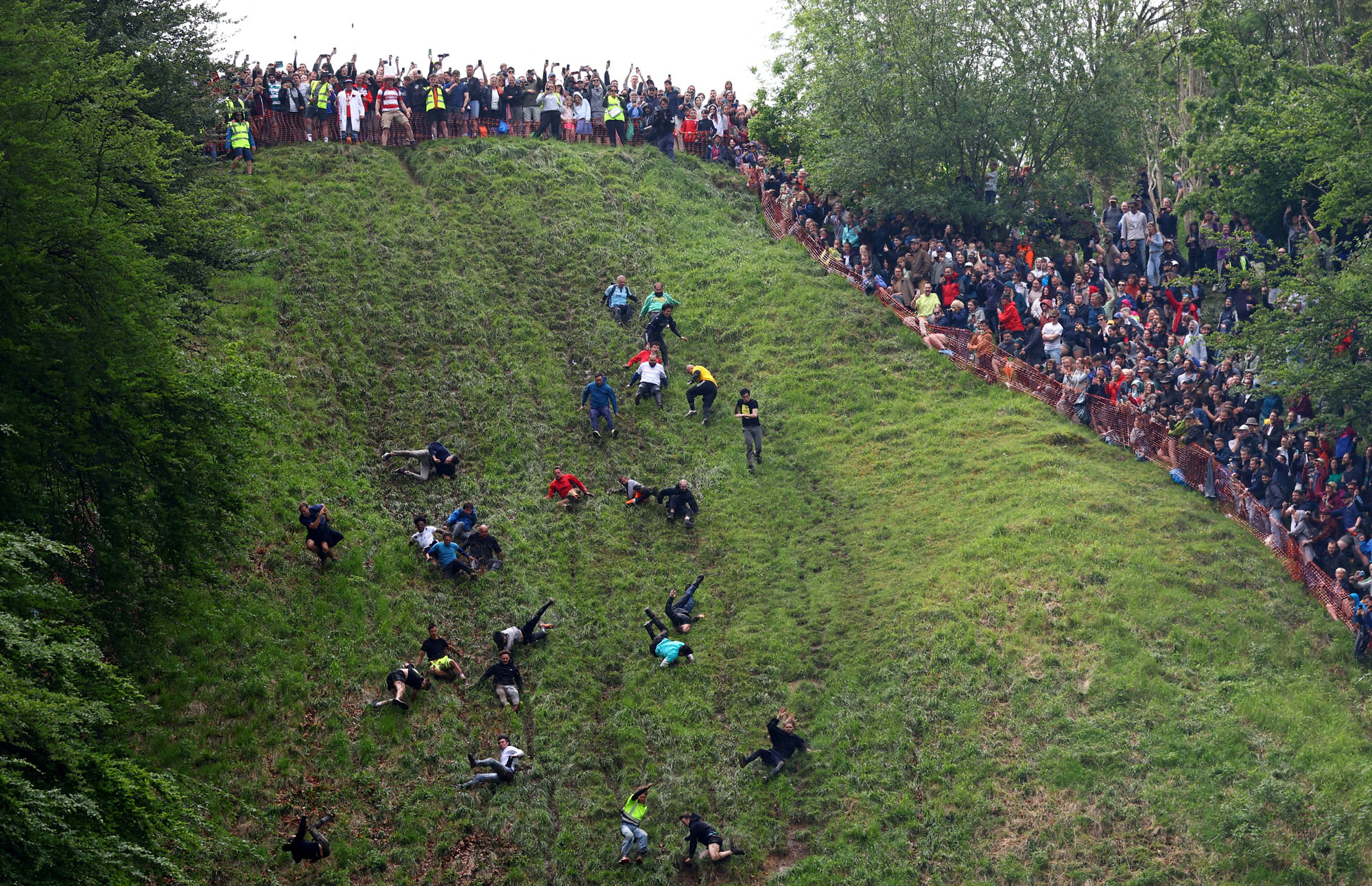 A wide view of runners rcing down a very steep grassy hill as a surrounding crowd cheers.