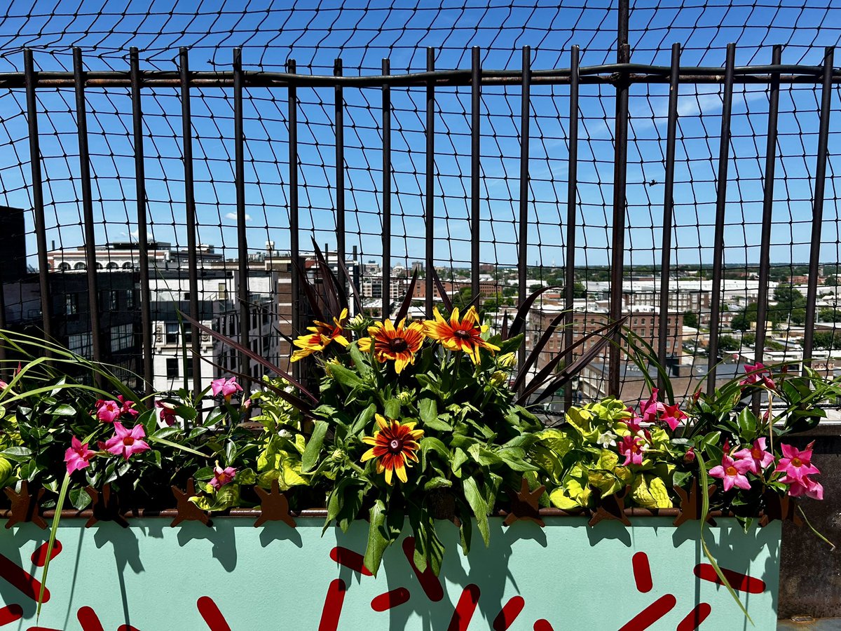 Flower planting day up on the roof. Nice job Mary &amp; Heather.