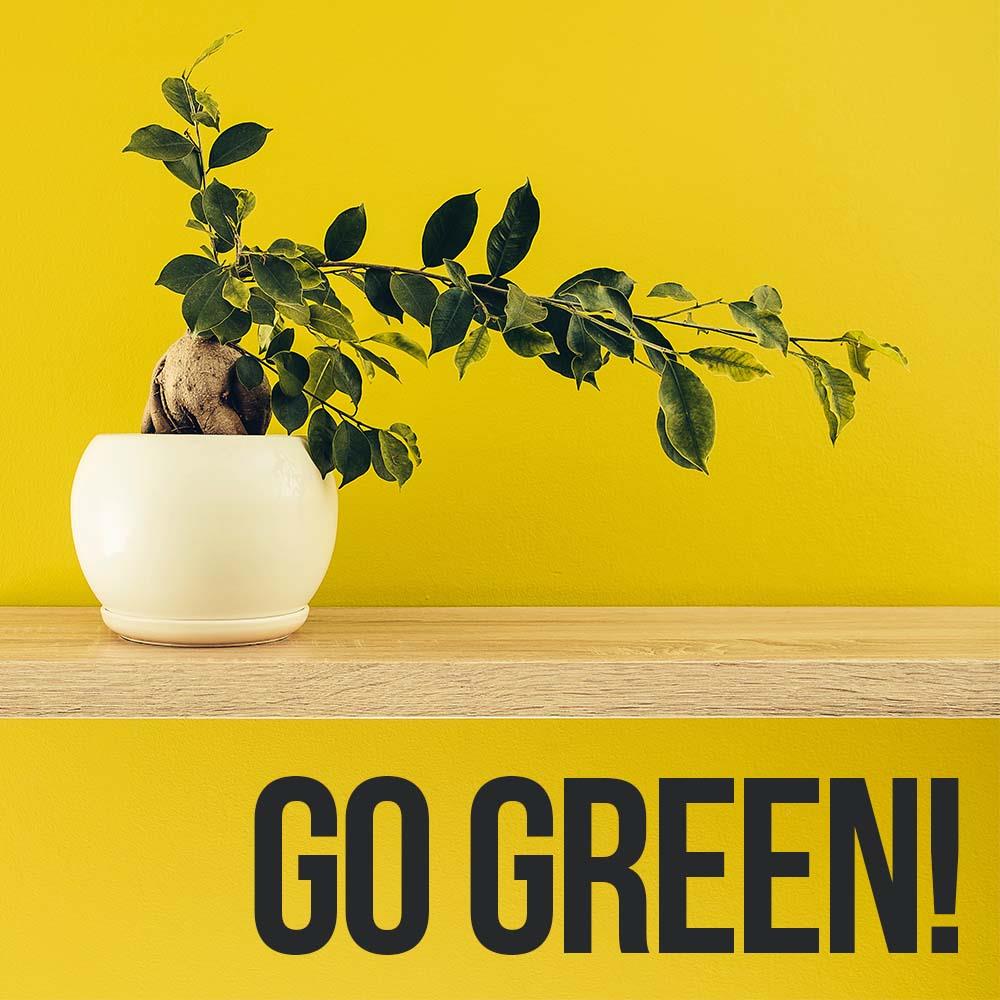 Because plants release oxygen and absorb carbon dioxide, plants can help to purify the air.
Brent Taylor #lewiscountyREALTOR® #NEGO84U #Iwanttolivethere #Iwanttobuyahome #letmehelpyou #localREALTOR® #Ineedtobuyahome #Ineedtosellahome #Iwanttomove #negotiateforyou