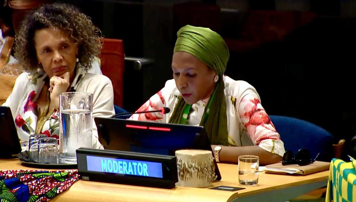 Education needs to be adapted to needs of 21st century & to the needs of the continent 🙏🏾 @FKMohammed1 @AfricanUnionUN for stressing on the need to decolonize #education during @UN #AfricaDay ‘Bridging the Education Skills Gap’ Intergenerational Dialogue #YearOfEducation