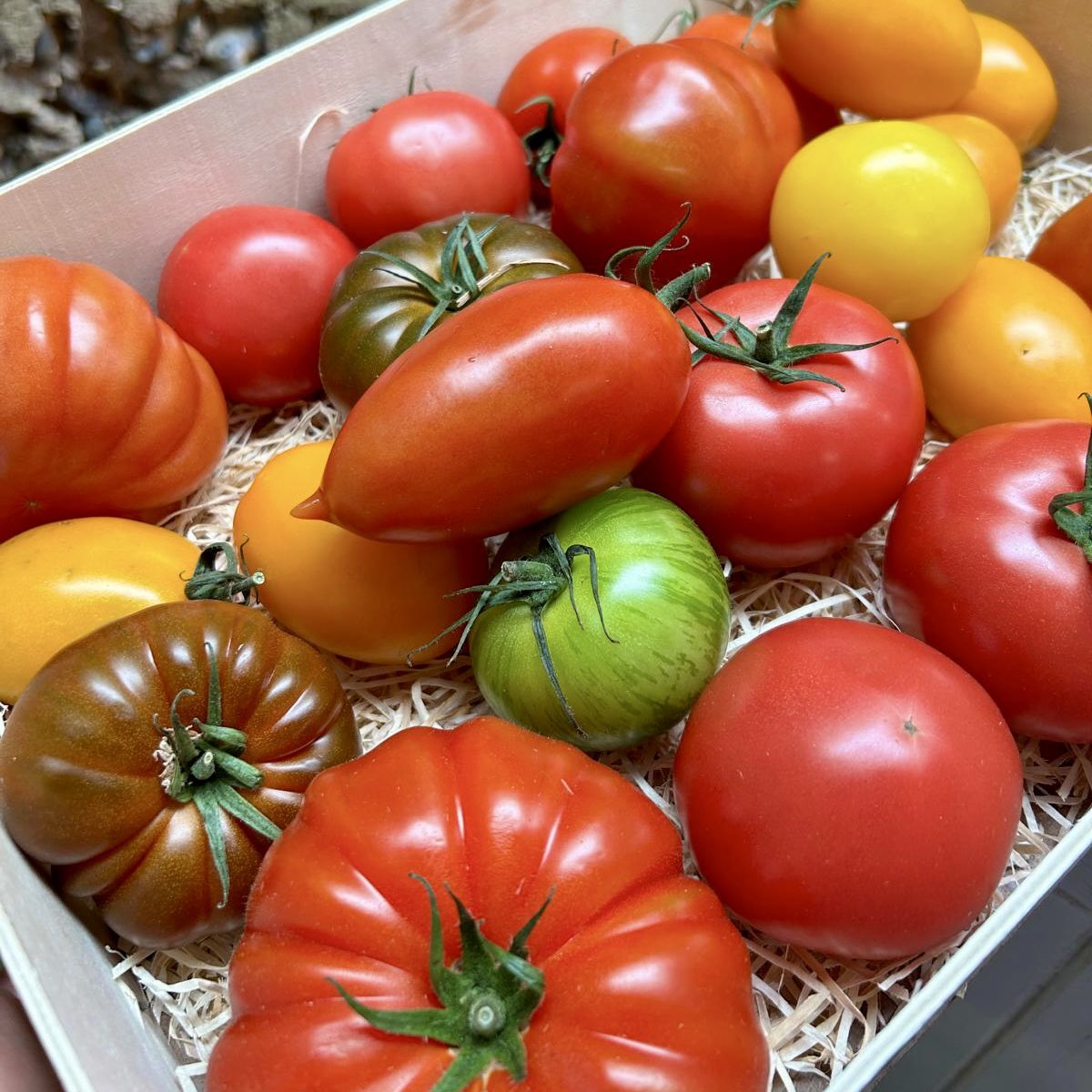 theonebullbury's tweet image. Heritage tomato, goats cheese & pickled walnut salad - being served on tonights specials menu.
To book -
☎️ 01284 848220
💻 theonebull.co.uk/book-a-table