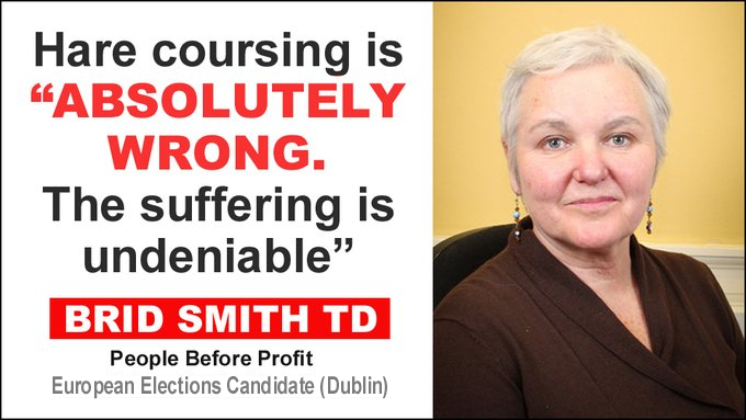 'Hare coursing is absolutely wrong. The suffering is undeniable” - #EUelections2024 candidate Brid Smith TD (People Before Profit, #Dublin) 👍👍 banbloodsports.wordpress.com/2024/05/06/202… #Ireland #AnimalCruelty #BanHareCoursing