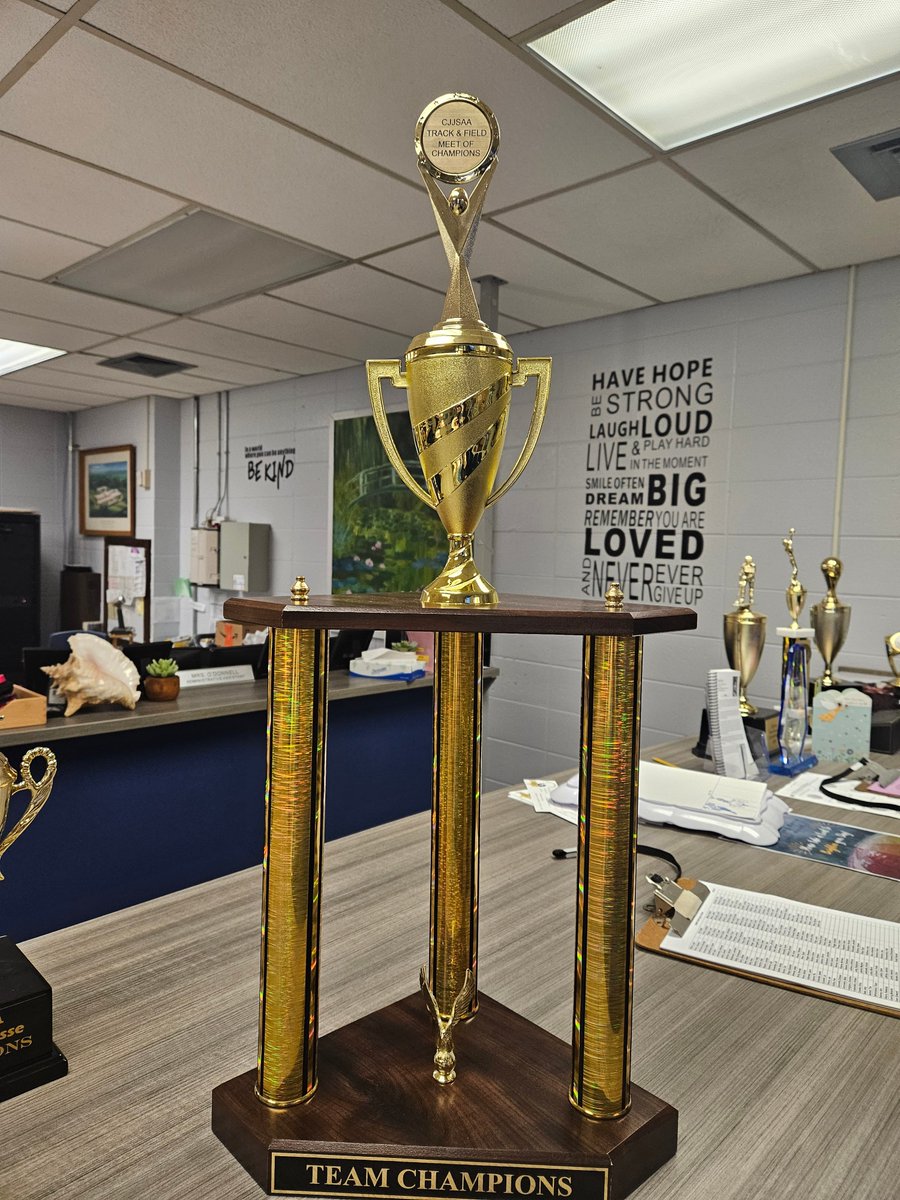 Congratulations to the Boys Track and Field Team and the Girls Lacrosse Team for winning the conference championship!!!!  Go Vikings!