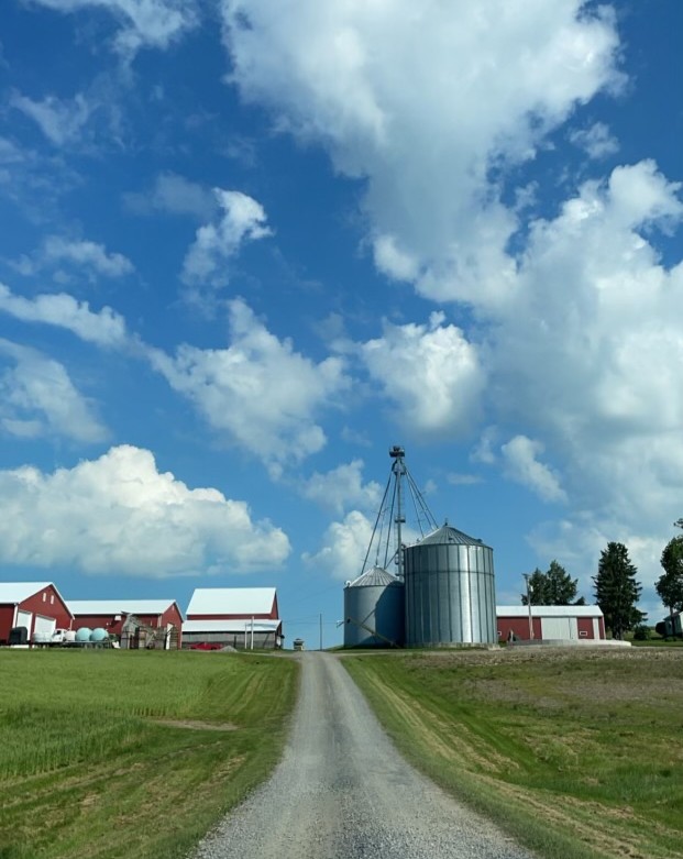 TAMSystems's tweet photo. Next up... @brockgrain 54' 22 Ring Stiffened Farm Bin w/ Versaloopπ
#tamsystems #brockbin #versaloop #grainsystem #bucketelevator #howyabin https://t.co/MHqEOcQQhx