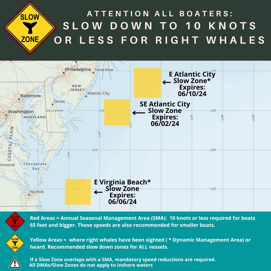 NOAAFish_GARFO's tweet photo. New #RightWhale #SlowZone E Atlantic City, NJ in effect thru 6/10. Mariners are requested to avoid or transit at 10 kts or less. See map for location of the Slow Zone. Sign up for alerts here: https://t.co/0MHd7cc10Q https://t.co/1cI4mEBS4W