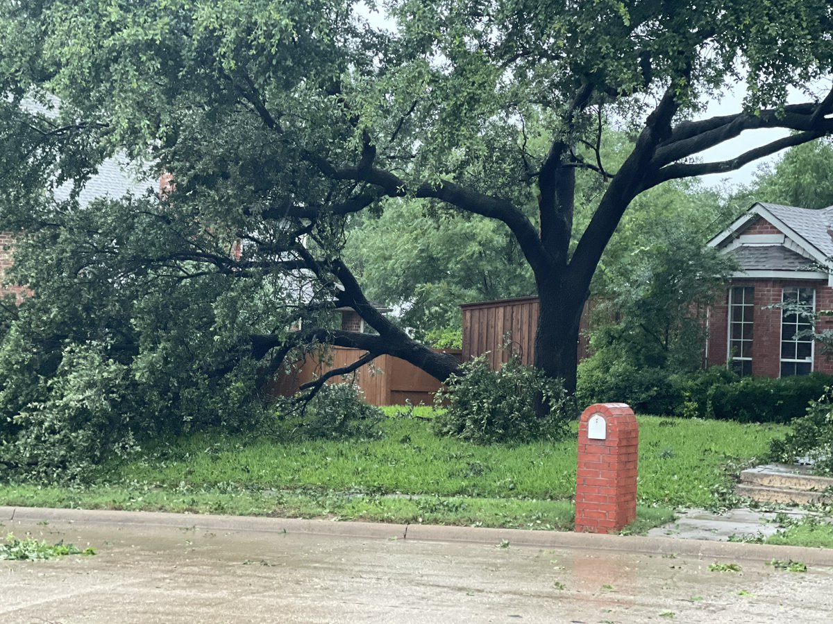MrCoachJimDavis's tweet photo. @wfaaweather 
Yeah…the wind was strong last night/this morning. https://t.co/jcH0sDHfop