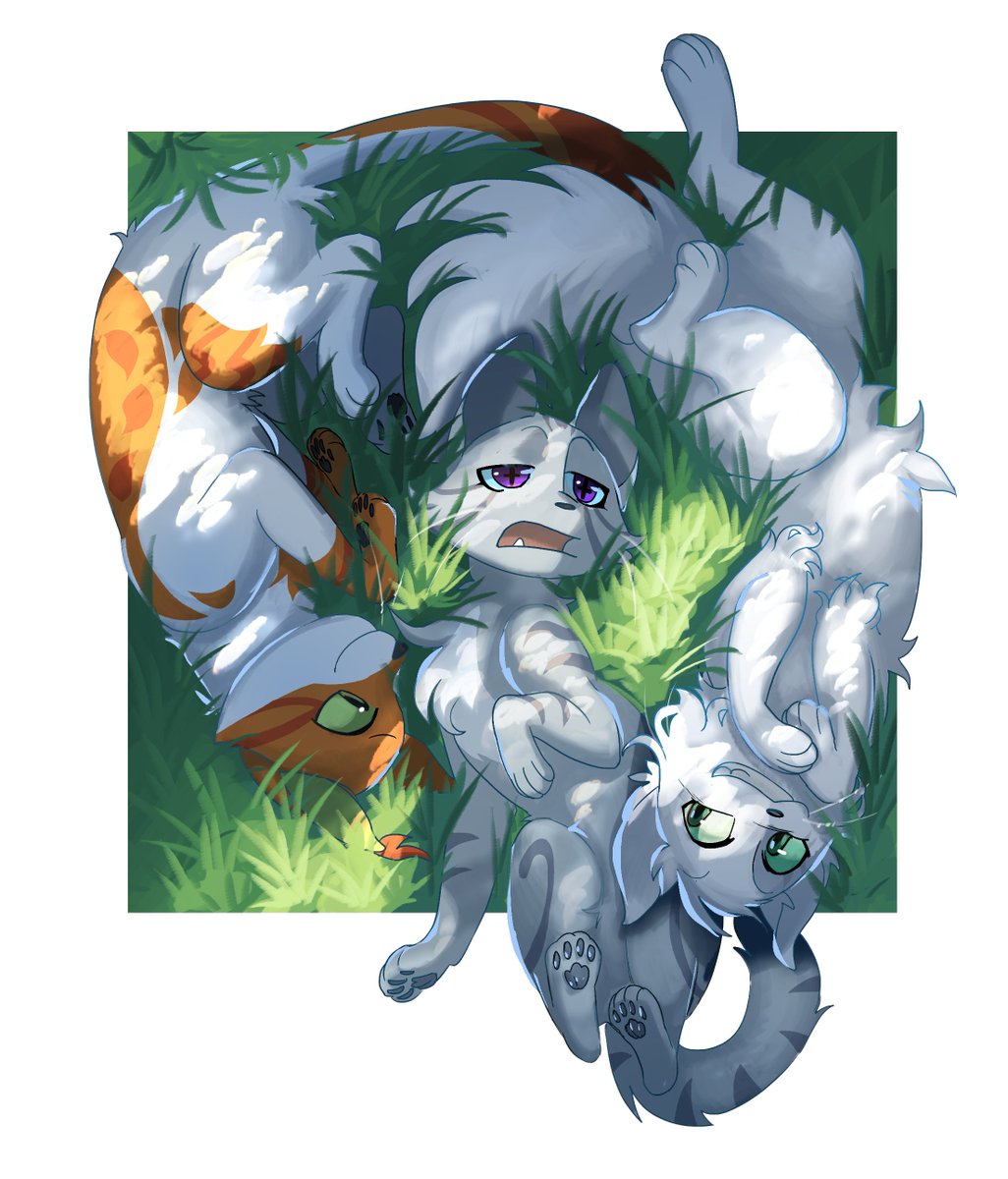 Fallen Leaves, Jayfeather, and Half Moon for a commission !
