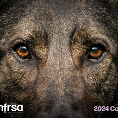 #NewProfilePic Because we love our dogs and horses - because we love the work of @byGerrySlade and because we love our @amydeemo and RPD Duke.  🥰

💜🐾💜🐾💜

#dog #dogs #horses #retiredpolicedogs #retiredserviceanimals #animals #animalwelfare #animalhealth #charity #servicedogs