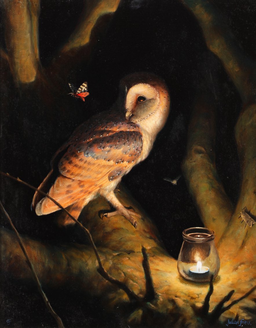 Julian Friers tweet media