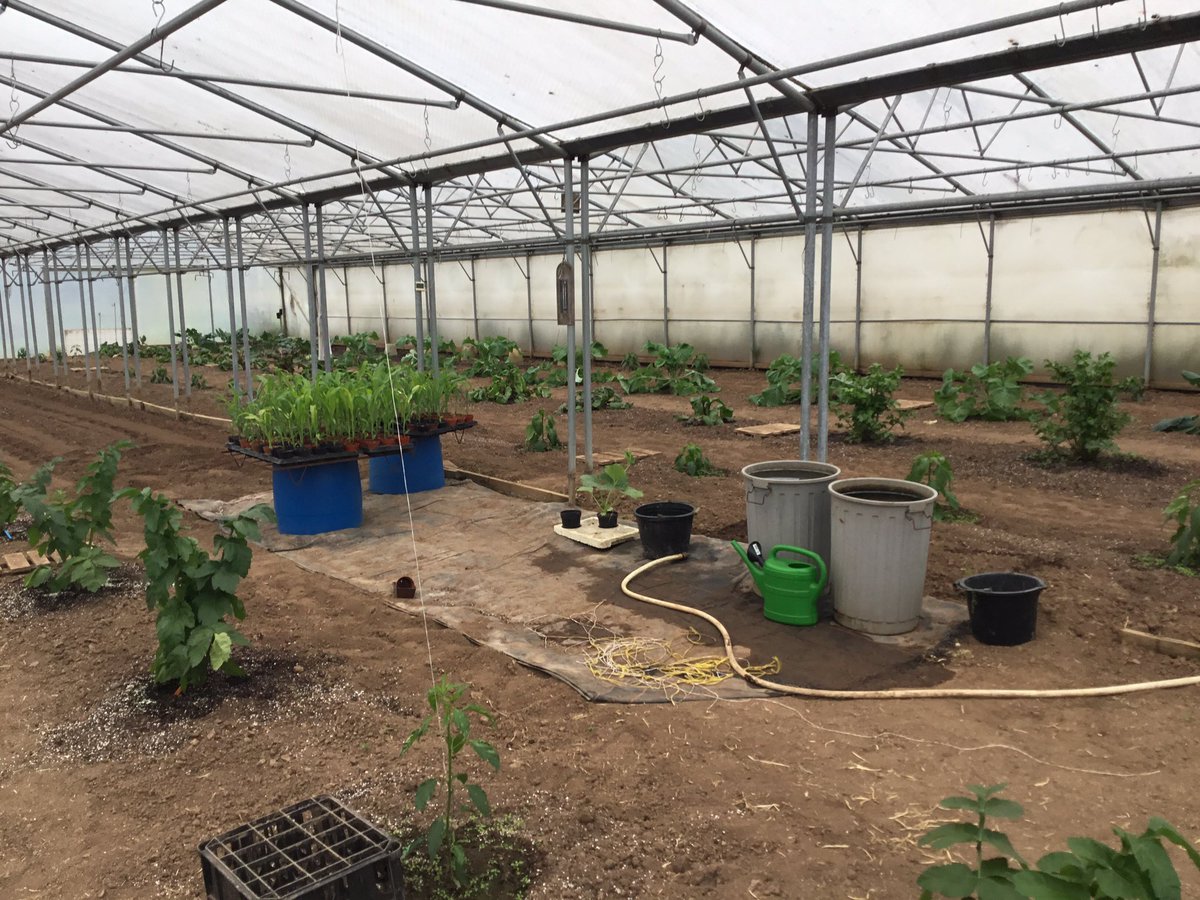 Finally stopped raining. Hoping for some sunshine tomorrow. 🤞