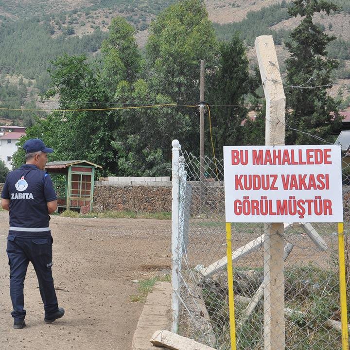 Gaziantep İslahiye’de vatandaşlara saldıran köpeklerde kuduz saptandı. 2 mahalle 6 ay boyunca karantinaya alındı.