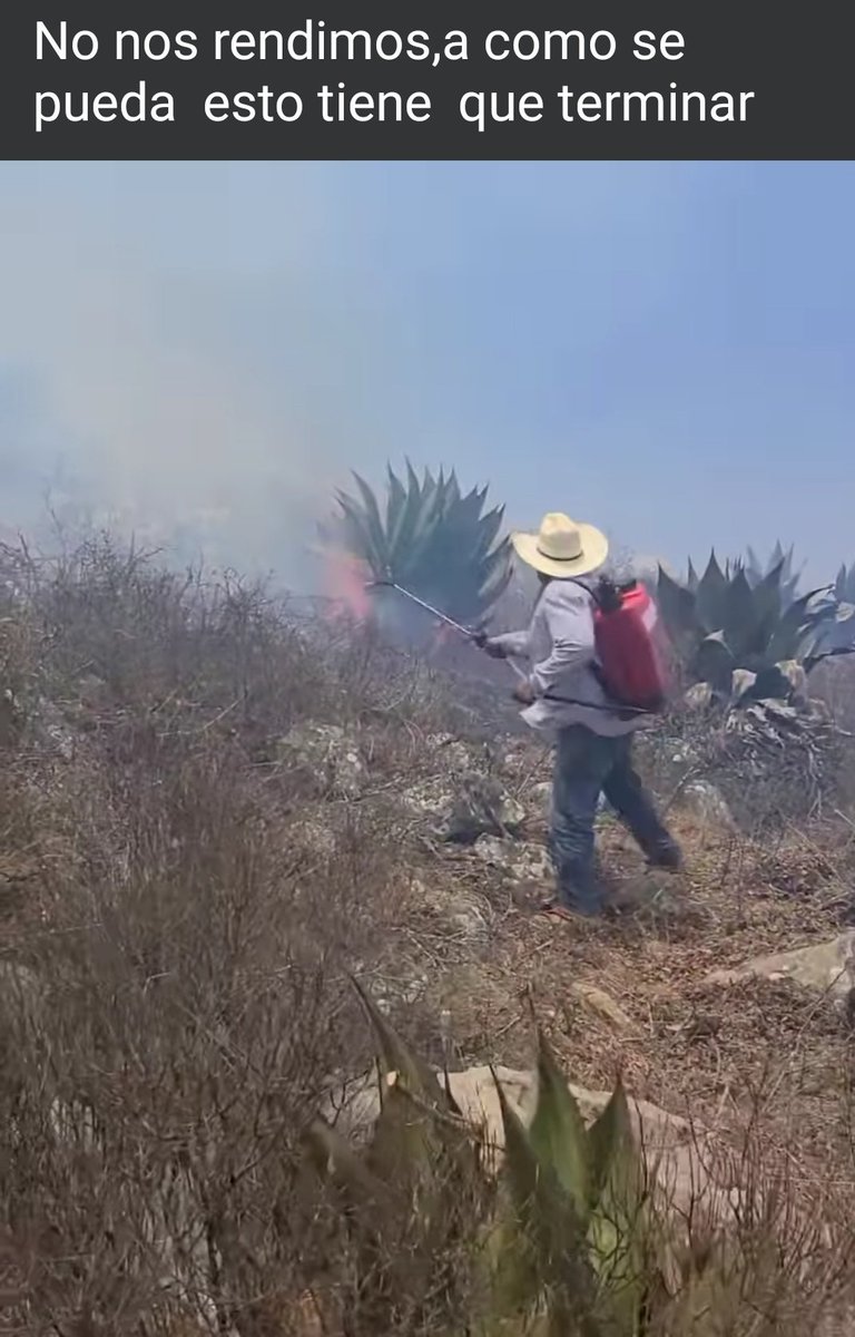 @salomonj Qué bien que tengan privilegios, aunque a otros se los quiten y ni les toque la mínima ayuda. 
#Oaxaca
#ReservadelaBiosfera
#Guelaguetza
#salieronigual
@lopezobrador_ 
@Claudiashein