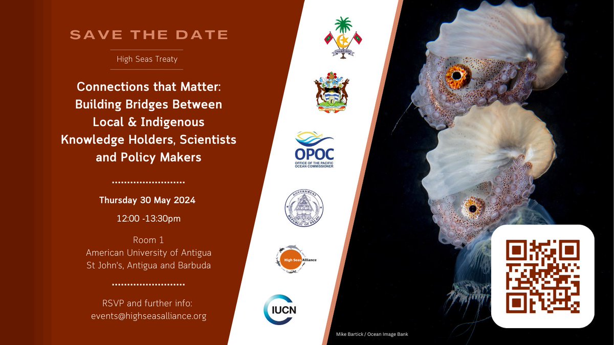 High Seas Alliance tweet media