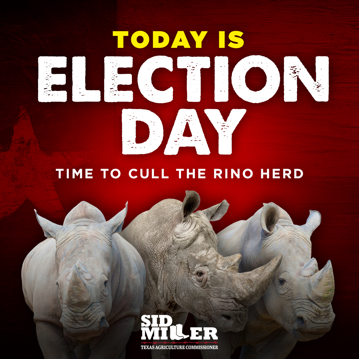 This is it! Get out and vote. Polls are open until 7. Find my polling place: votetexas.gov