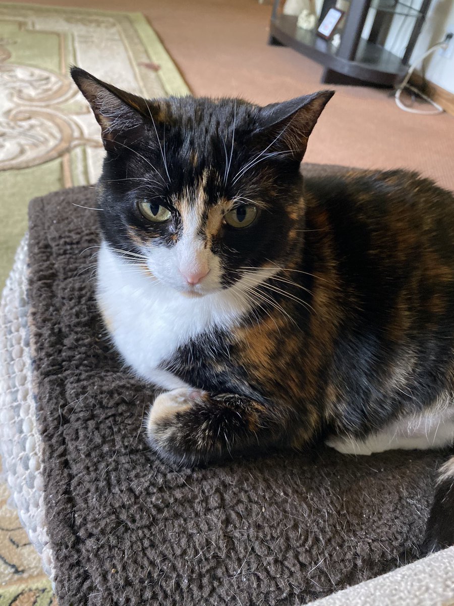 Hi friends! Hope you are having a nice day!  ❤️  Pumkin