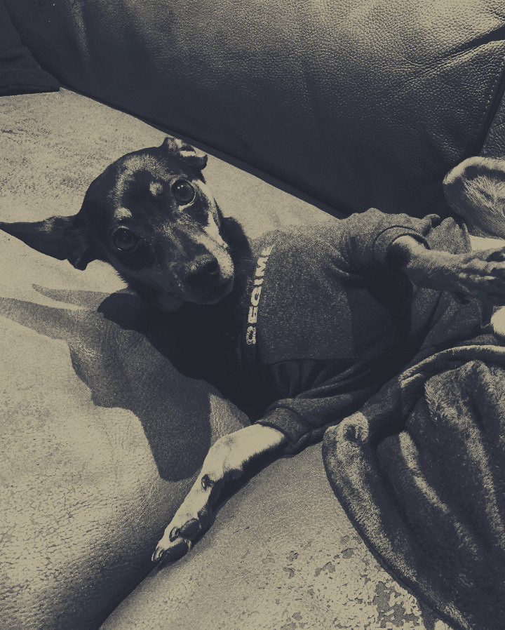 ㅤ
Lori wearing her baby tee.
ㅤ