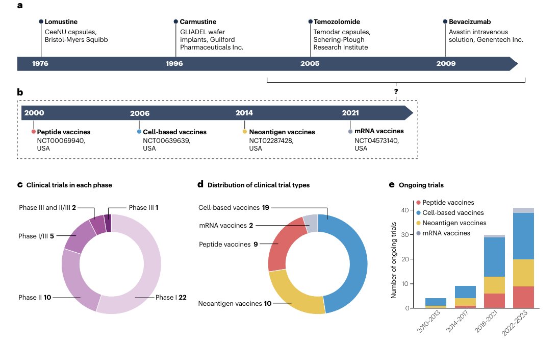 Glioblastoma is an aggressive brain cancer with limited treatment options. This Perspective by <a href="/FlaviaSousaSci/">Flávia Sousa</a>, <a href="/CNanolab/">João Conde 🧬 🔬 🌍 ☮️</a> et al discusses nanoparticle engineering strategies for glioblastoma vaccination: go.nature.com/3WYUNg8