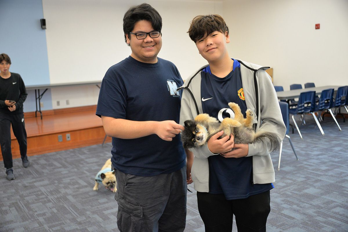 SMCS1852's tweet photo. #HappeningNow
Therapy dogs are here! During the last week of school before final assessments, students and staff are taking advantage of all the benefits and stress relief these four-legged furry visitors can provide.
#smcsimpact https://t.co/mdGzqcTxBM