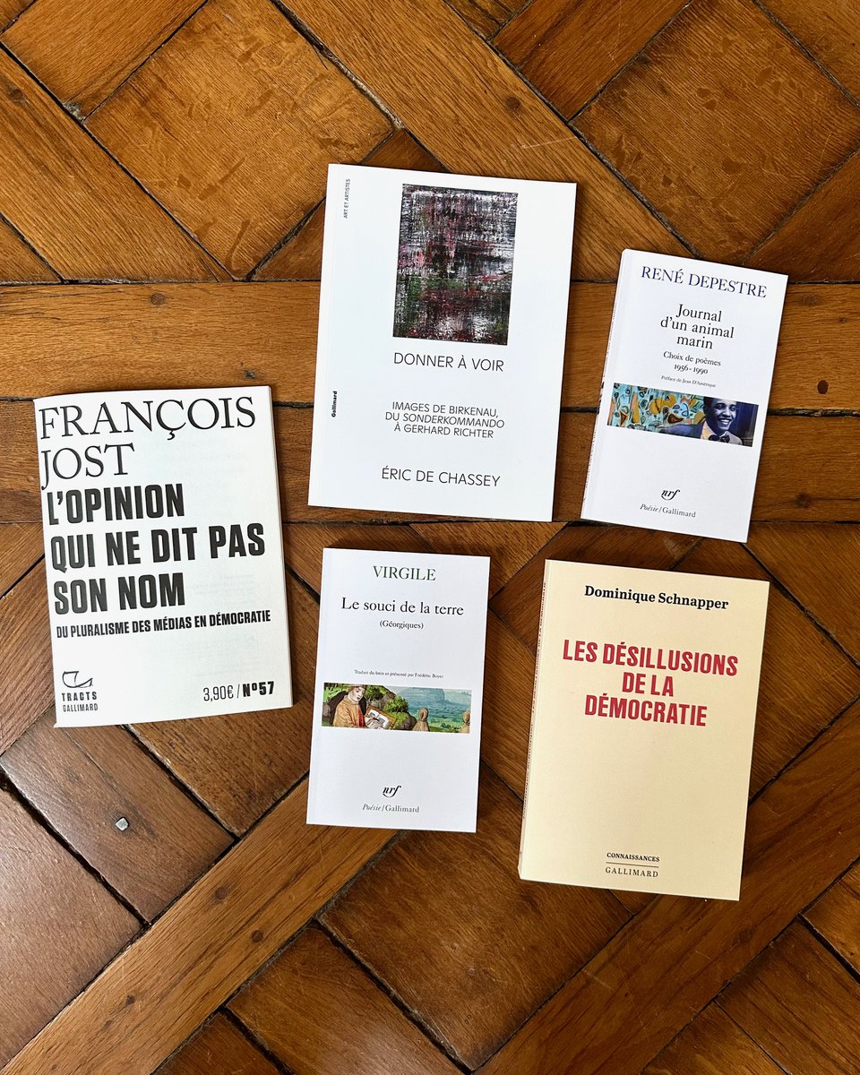 ✨ #LesSortiesDuJeudi Nous avons le plaisir de vous présenter les dernières parutions en librairie du mois de mai ! Qu’avez-vous envie de lire aujourd’hui ? Toutes les parutions 👉 gallimard.fr/Nouveautes