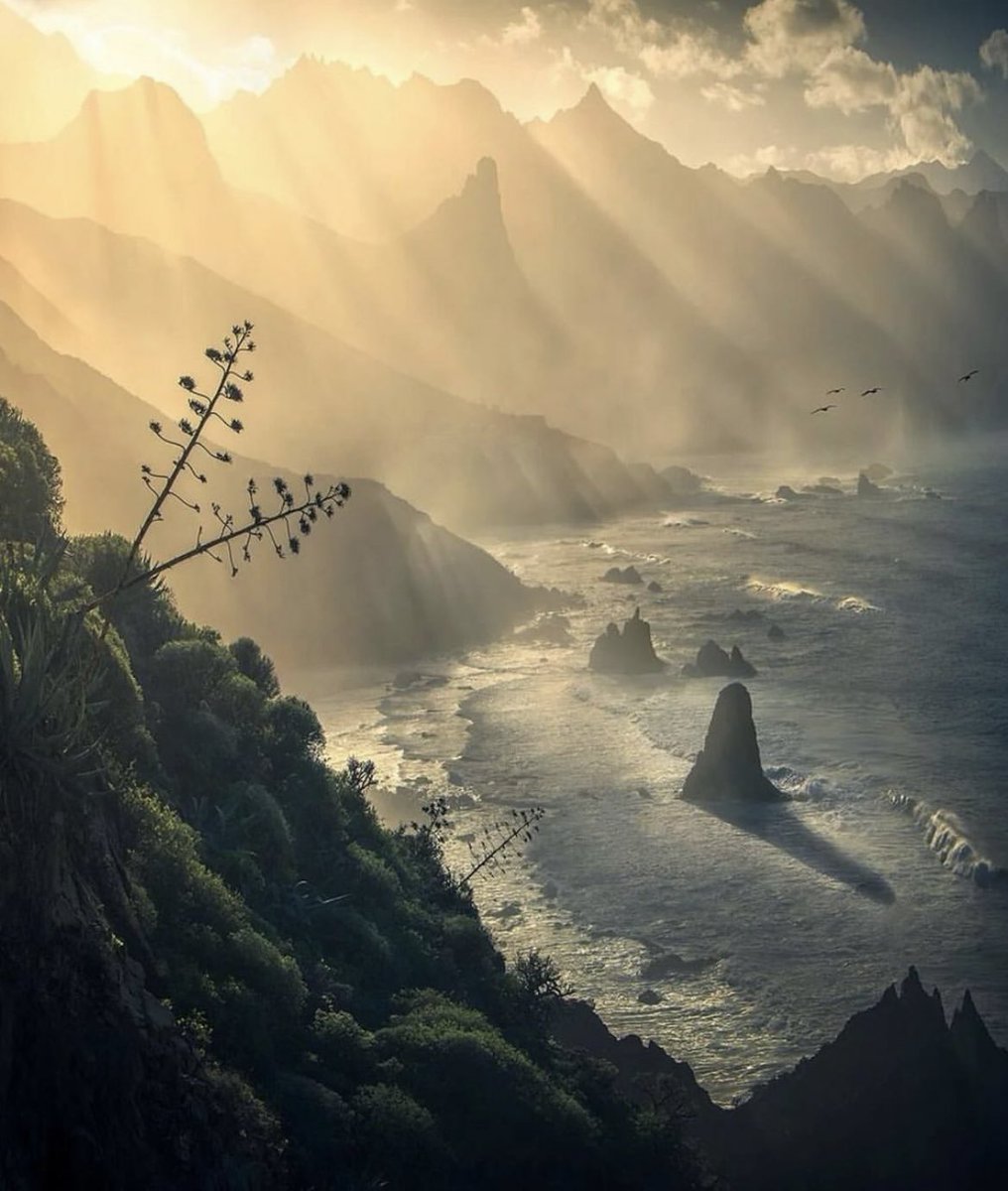 First light at the cliffs of Tenerife.