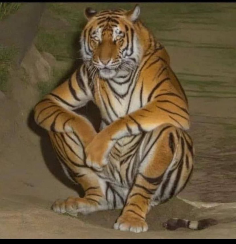 Bro multiverses got me waiting for 1 to hit so the game can drop, like hurry tf up😐