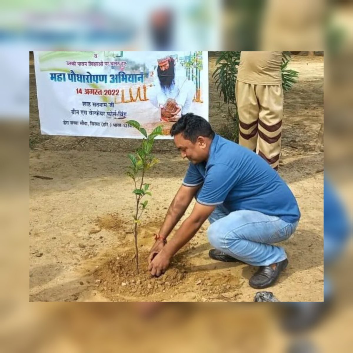 #RamRahim Trees and plants are an integral part of our life, without them human life is incomplete. Inspired by Saint Ram Rahim Ji, the servants of Dera Sacha Sauda keep human life safe on this earth by planting lakhs of saplings in the country and abroad.